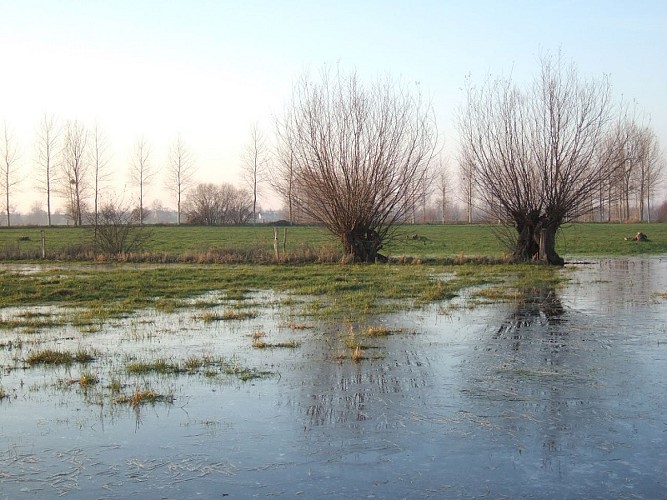 Vélo promenade-Marais du Couesnon-Marais d'Aucey (c)Mickael Mary