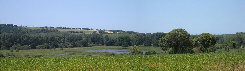 Vélo promenade-Marais du Couesnon-MaraisLaFolie (c)Michel COLLIN