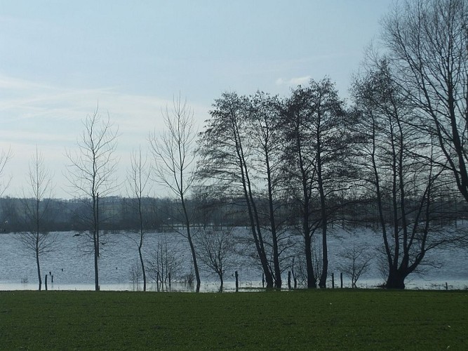 Vélo promenade-Marais du Couesnon-MaraisMesnil (c) syndicatmixteCouesnonAval