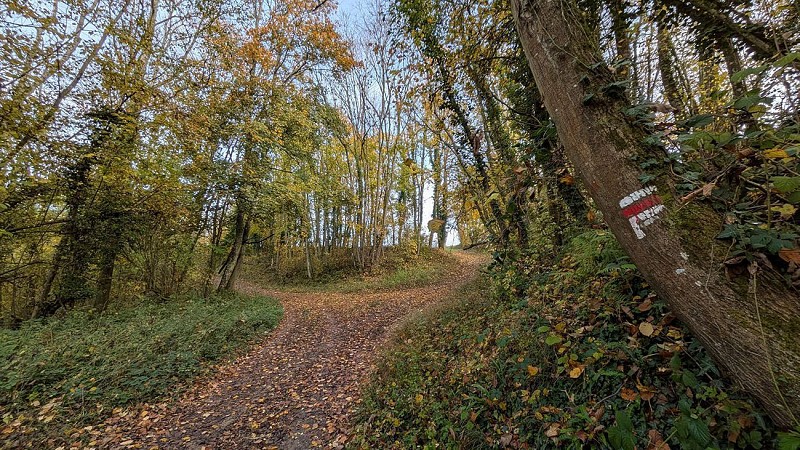Chemin vers le Mont de Fer