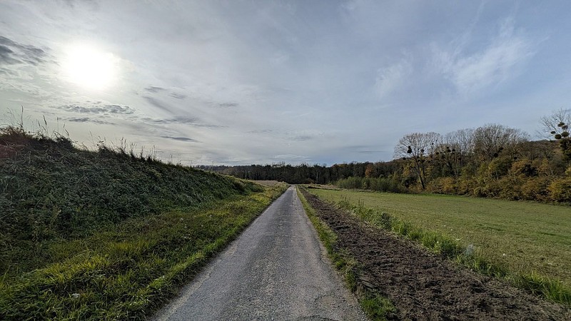 Chemin vers Cerny