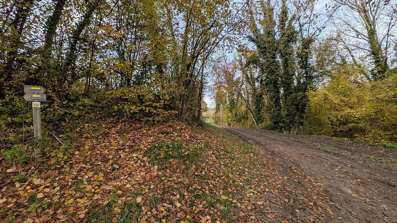 Chemin vers Cerny II