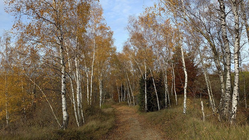 Mont de Fer II