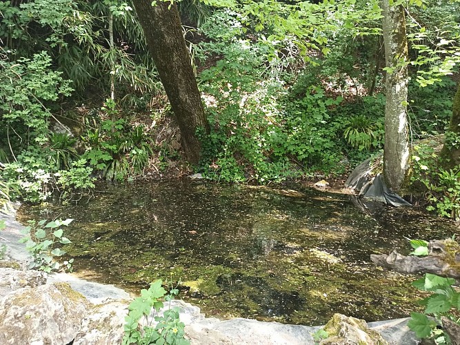 De Chazey à Leyment