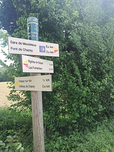 De Chazey à Leyment