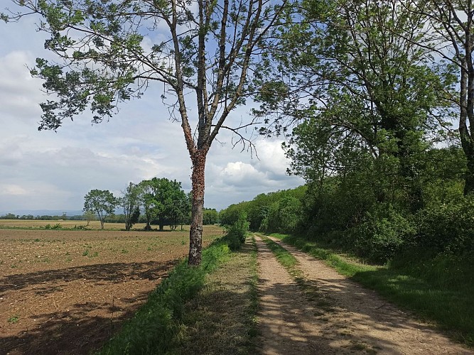 De Chazey à Leyment