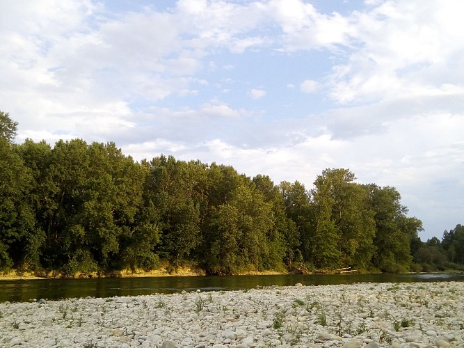 Randonnée pédestre : la rivière d'Ain, un parcours en liberté