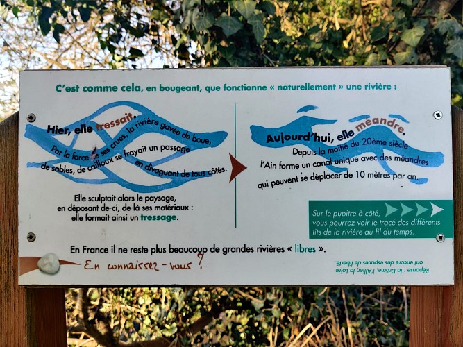 Randonnée pédestre : la rivière d'Ain, un parcours en liberté