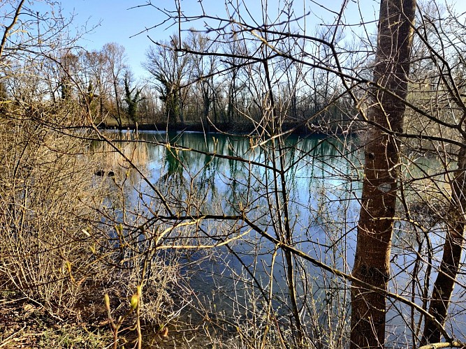 Randonnée pédestre : la rivière d'Ain, un parcours en liberté