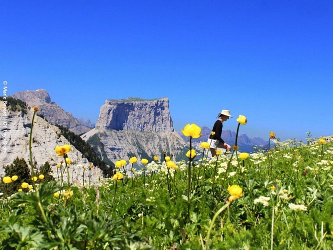 Le vallon de Combeau