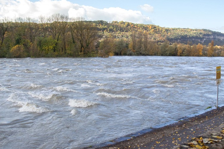 Les bords du Rhône_Briord