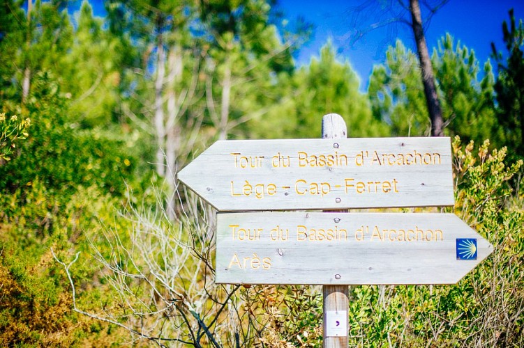 pres-lege-cap-ferret-8