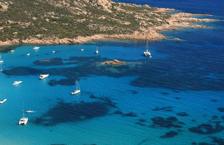 decouvertesartenaistaravovalinco