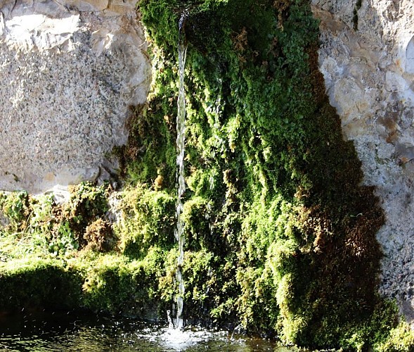 SENTIER D'INTERPRÉTATION "DA RIBBA A RICCIATI"