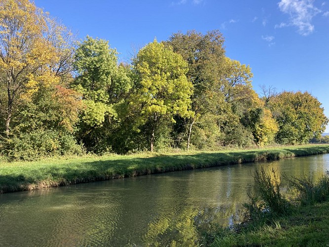 Limanton_Canal 02_Automne