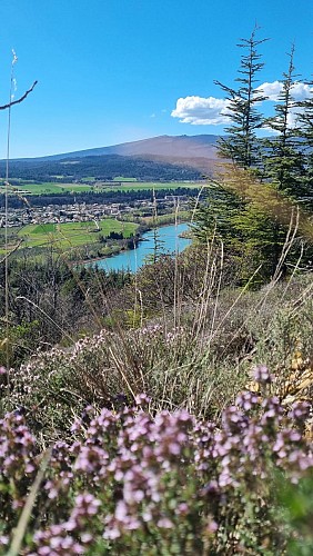Balcons de la Durance_L'Escale
