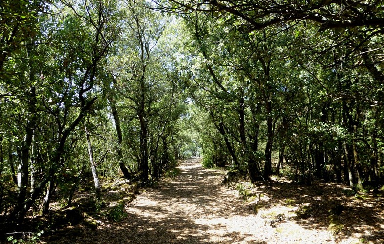 Tour du plateau de Ganagobie