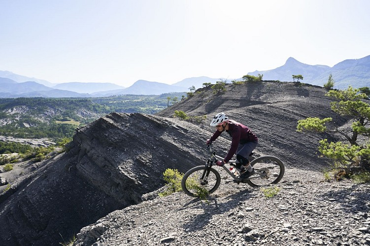 VTT n°17 - Les terres noires