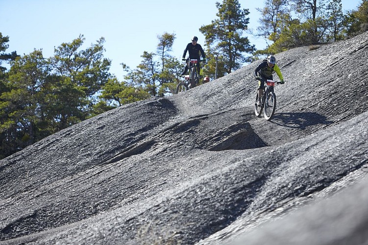 VTT n°17 - Les terres noires