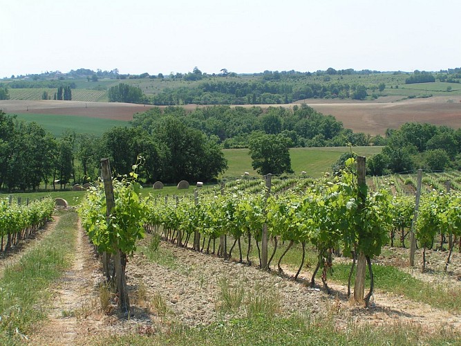 FAR-WEST TENAREZIEN - VTT-FFC 14 - Condom_Condom