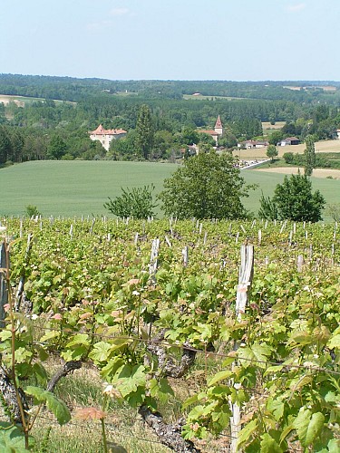 FAR-WEST TENAREZIEN - VTT-FFC 14 - Condom_Condom