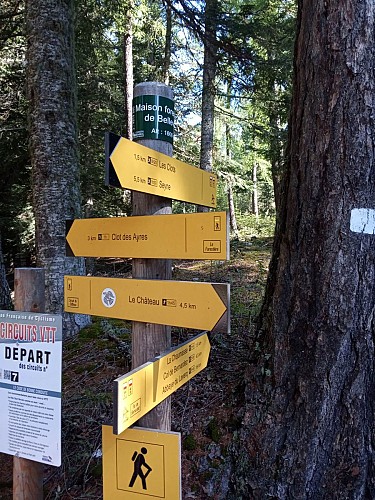 Maison forestière Bellevue