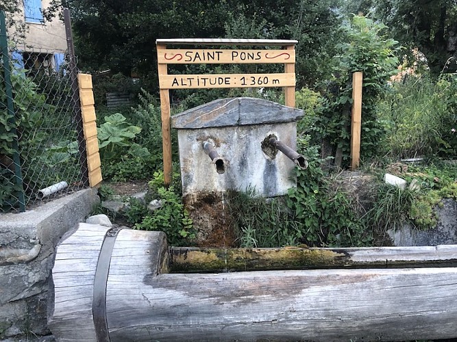 La Forestière A/R n°8