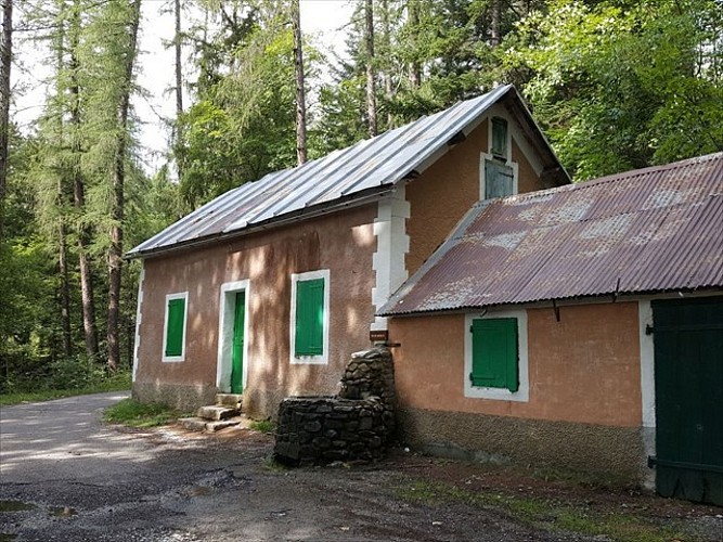 La Forestière A/R n°8