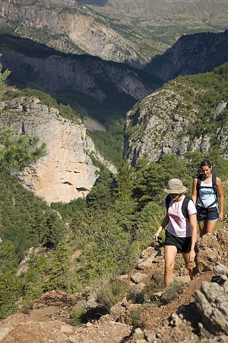 Panorama du Vélodrome