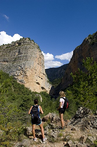 Panorama du Vélodrome