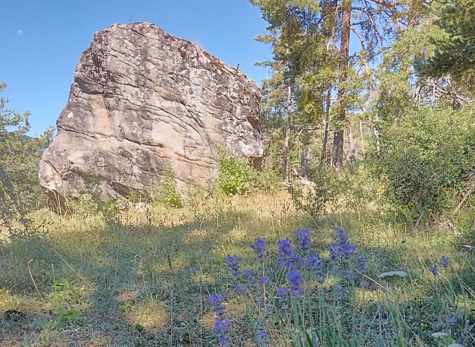 VTT n°10 - La Grosse Pierre_Selonnet