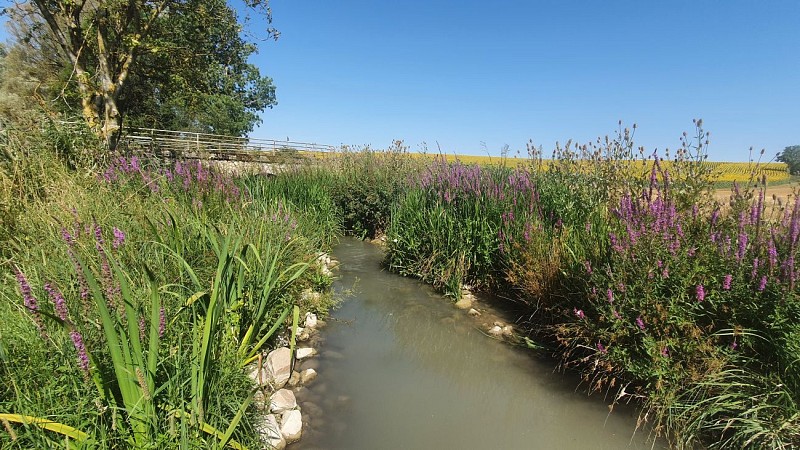 La Ligoire à Ligueil