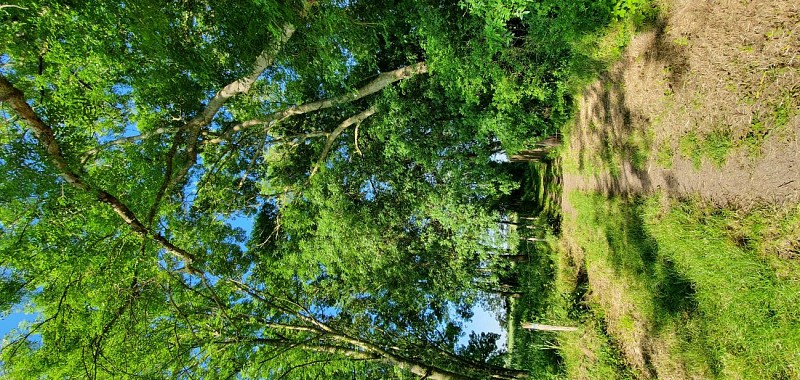 Campagne du Louroux