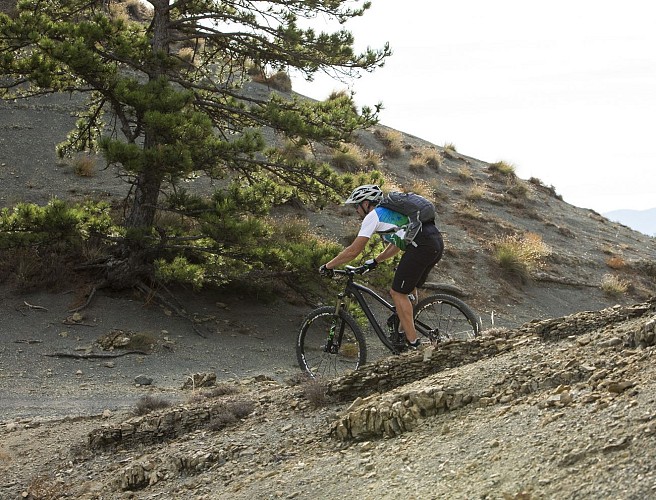 VTT n°4 - Le Pas des Bœufs