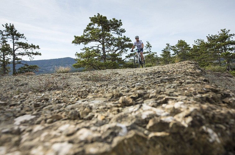 VTT n°4 - Le Pas des Bœufs