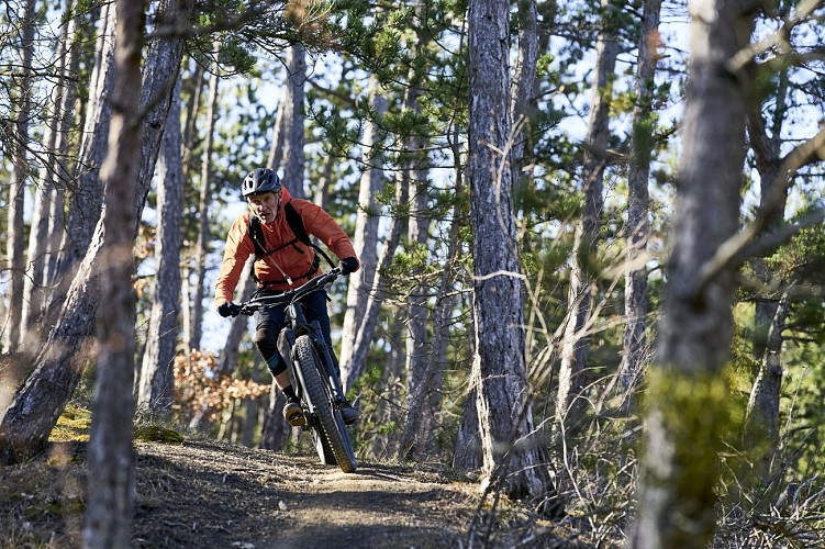 VTT n°6 - La Pierre Plantée