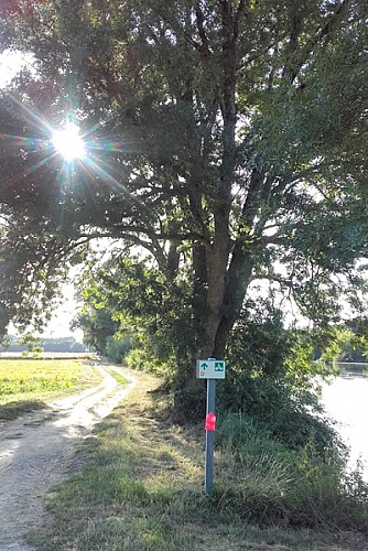 Randonnée sur les bords du Cher à Chenonceaux