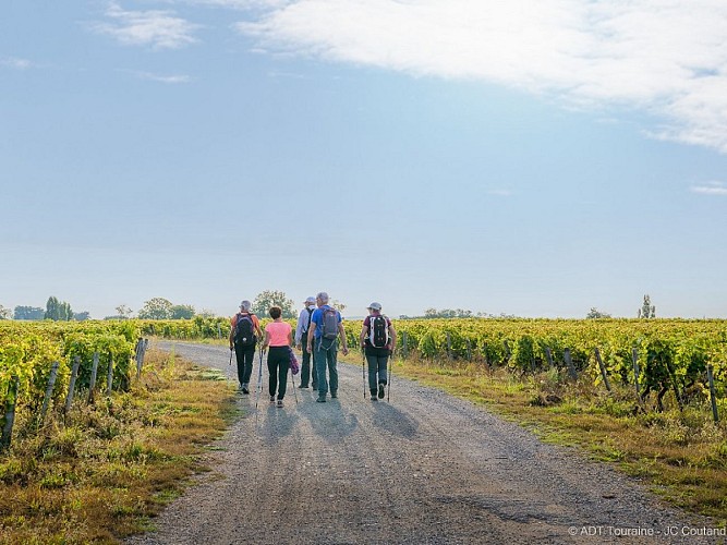 Randonnée pédestre - Vignoble de Vernou-sur-Brenne