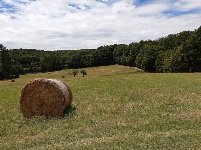 Vallée de la Ramberge - Randonnée de Saint-Ouen-les-Vignes