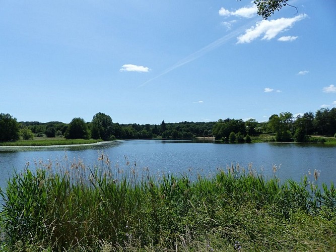 Lac du Val Joyeux - Château-la-Vallière