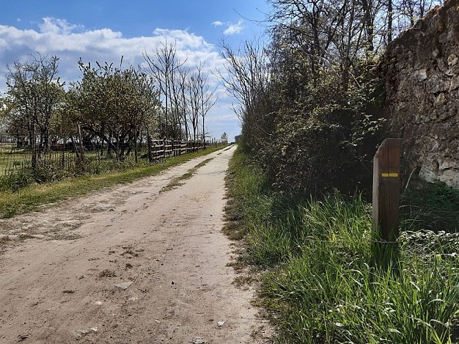 Randonnée à Montlouis-sur-Loire - Sur les pas de Gabrielle d'Estrées