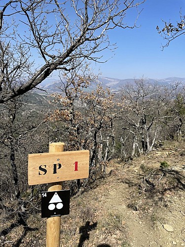 VTT n°14 - Enduro des Amarines