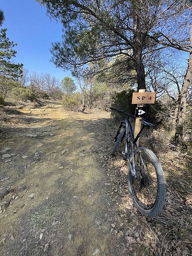 L’Enduro des Amarines N°14