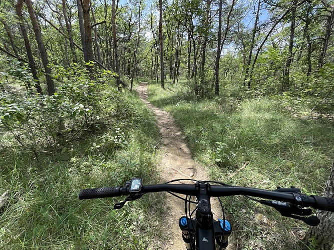 VTT n°16 - Le tour de Tourdeaux