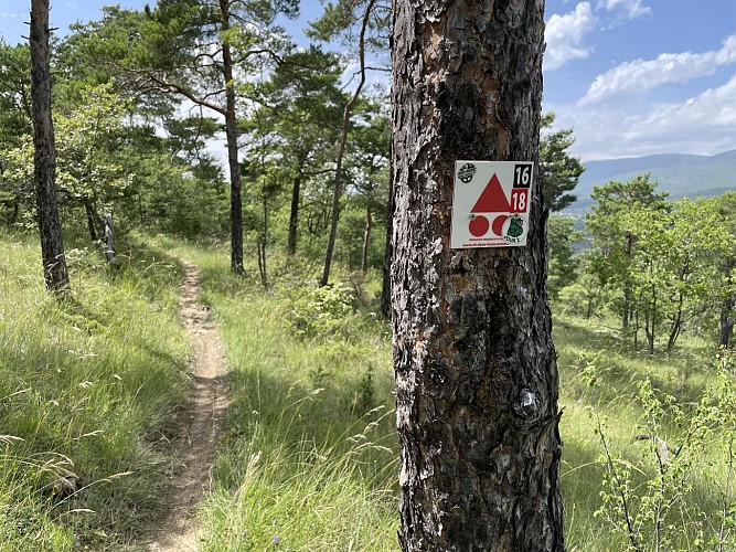 VTT n°16 - Le tour de Tourdeaux