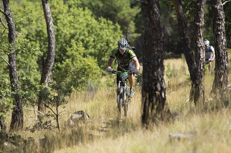 VTT n°16 - Le tour de Tourdeaux