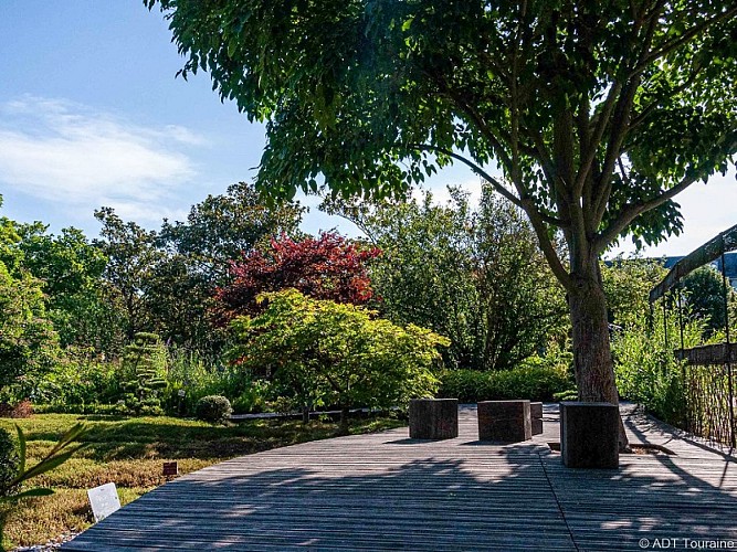 Sentier du Plessis au Prieuré - Jardin botanique de Tours