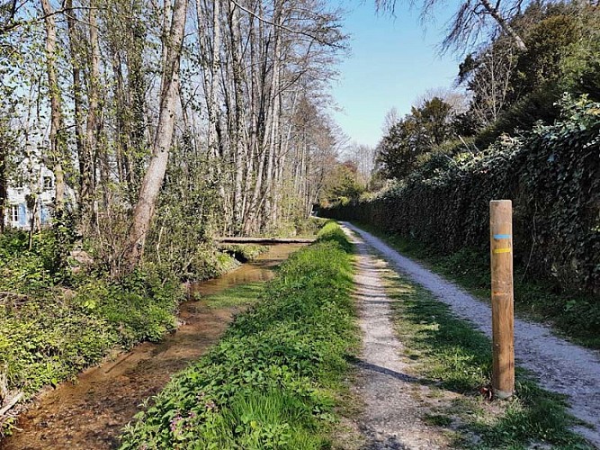 Le long de la Bédoire - Sentier de randonnée de Rochecorbon