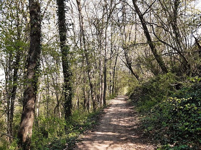 Sentier de randonnée de Rochecorbon - Entre Loire et vignes