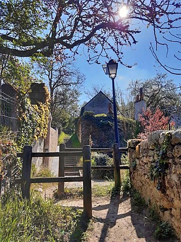 Sentier de randonnée de Rochecorbon - Entre Loire et vignes